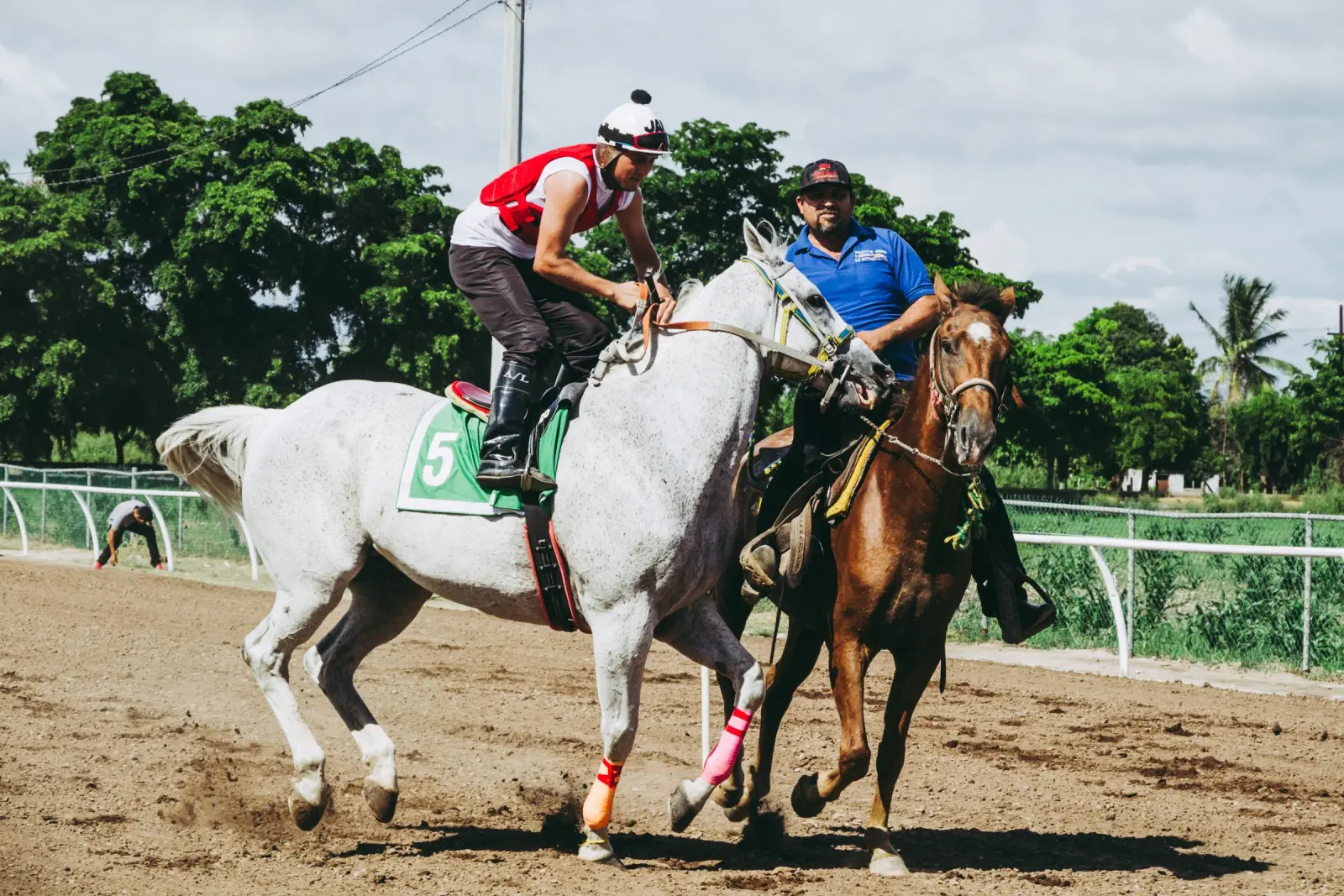 Cavalos e cavaleiros em pista de areia sob o sol, com coqueiros ao fundo